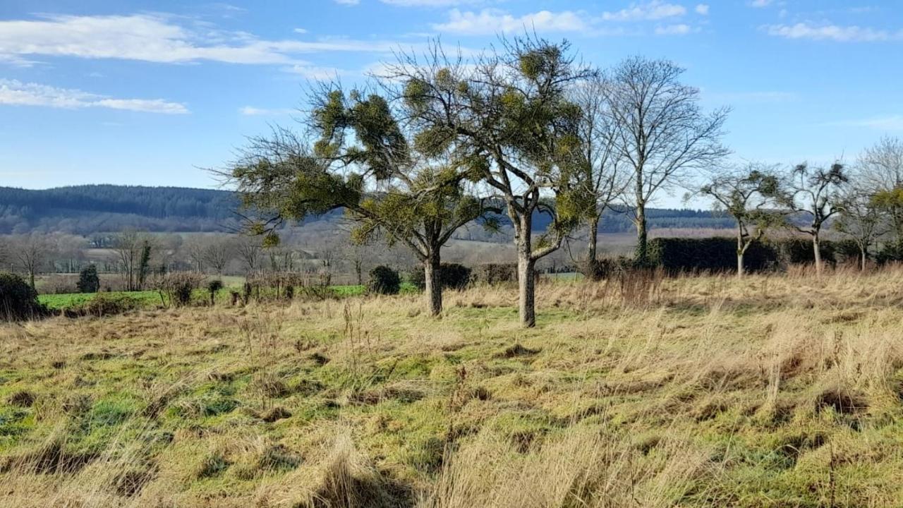 Gite Cottage Chaleureux En Pleine Campagne Vue Sur Les Monts Et Forets Et Le Chateau De Carrouges Kültér fotó